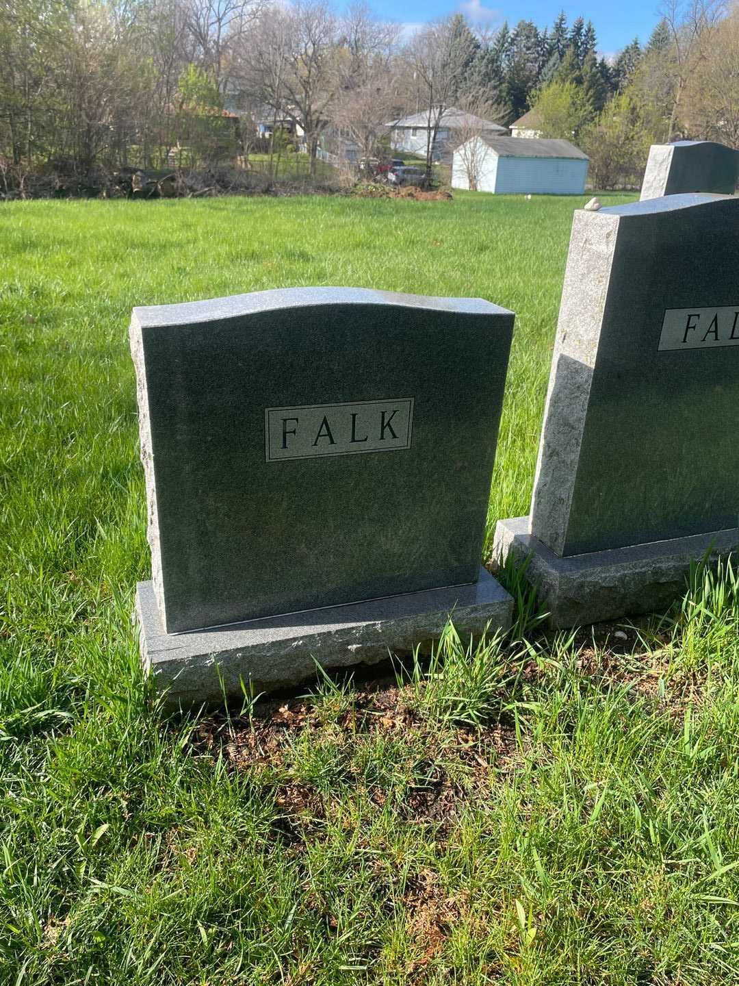 Michael Dean Falk's grave. Photo 3