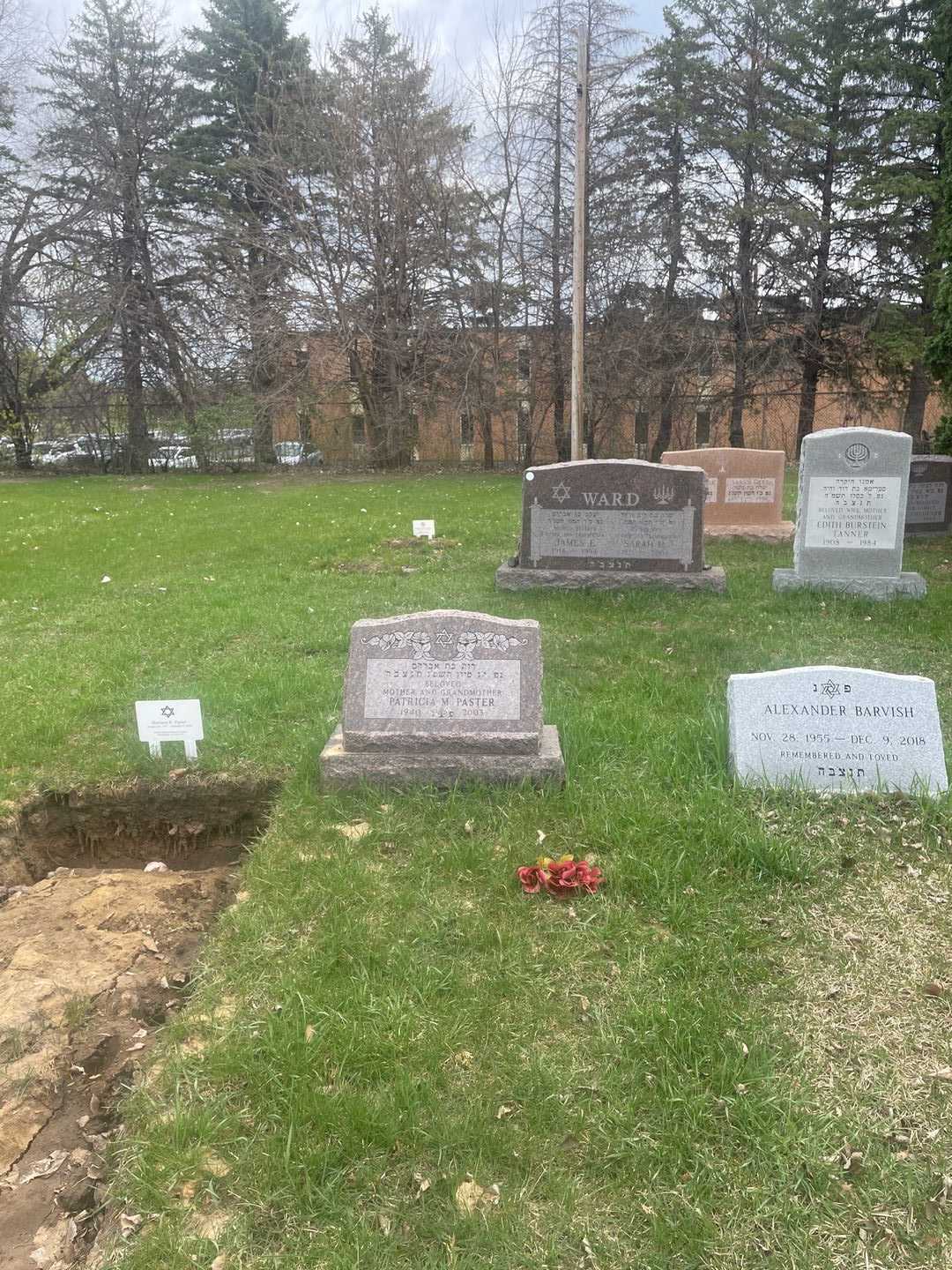 Patricia M. Paster's grave. Photo 2