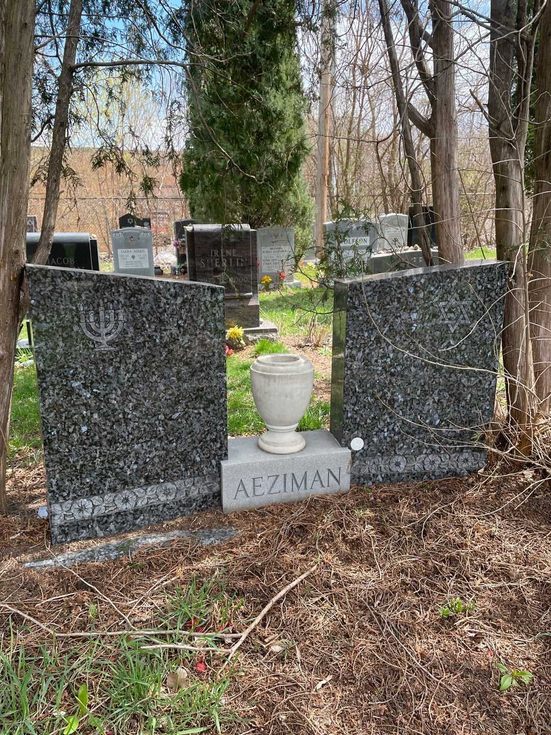 Sarah Aeziman's grave. Photo 1