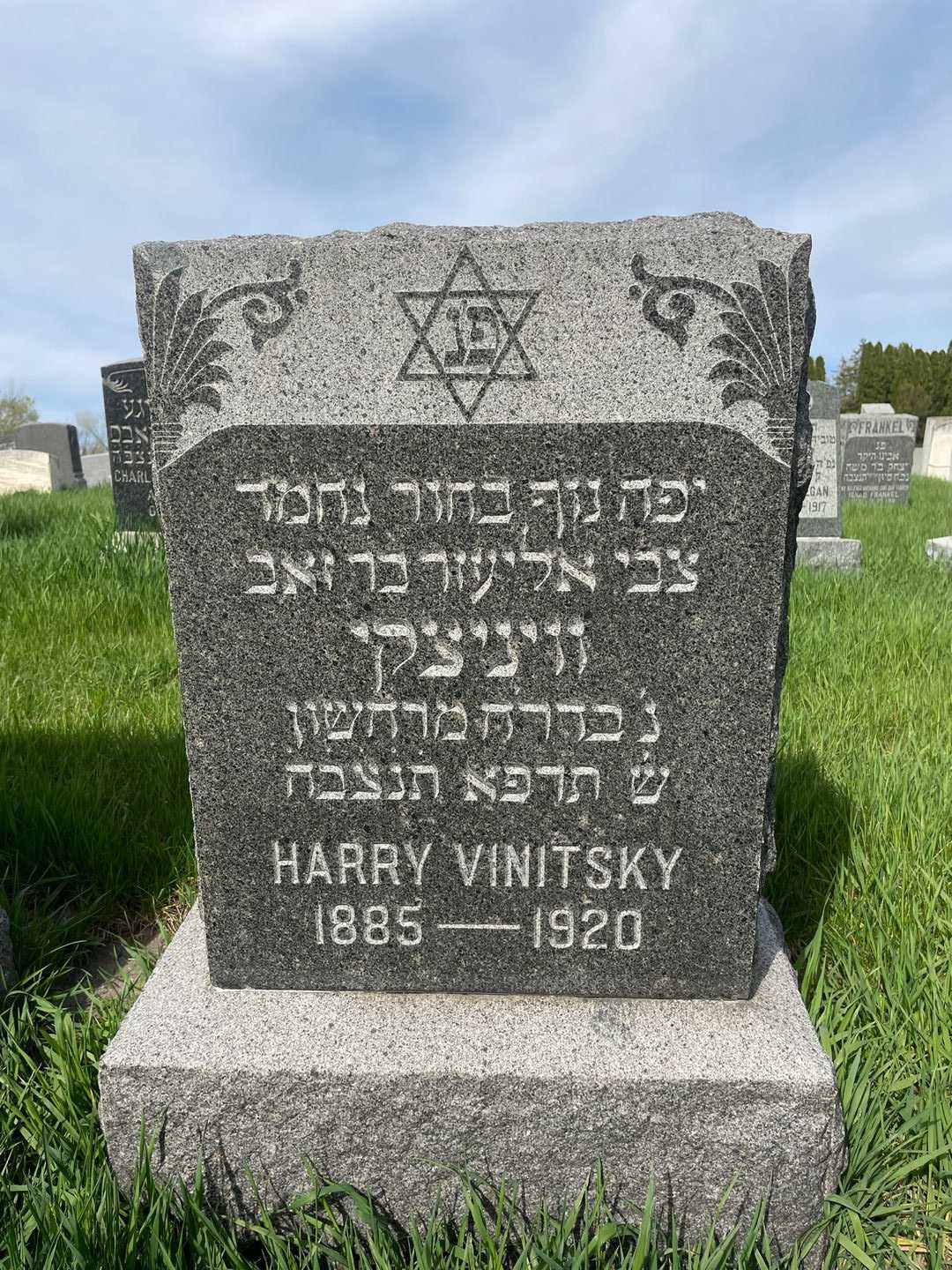 Harry Vinitsky's grave. Photo 1