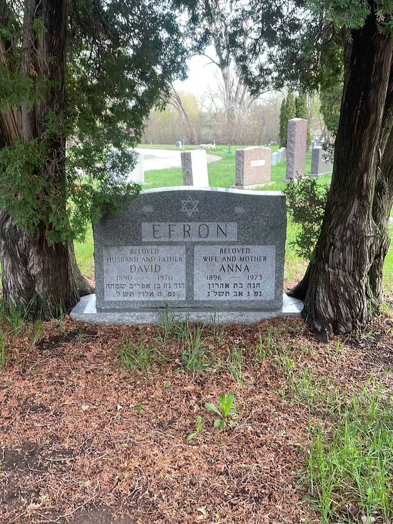 Anna Efron's grave. Photo 2