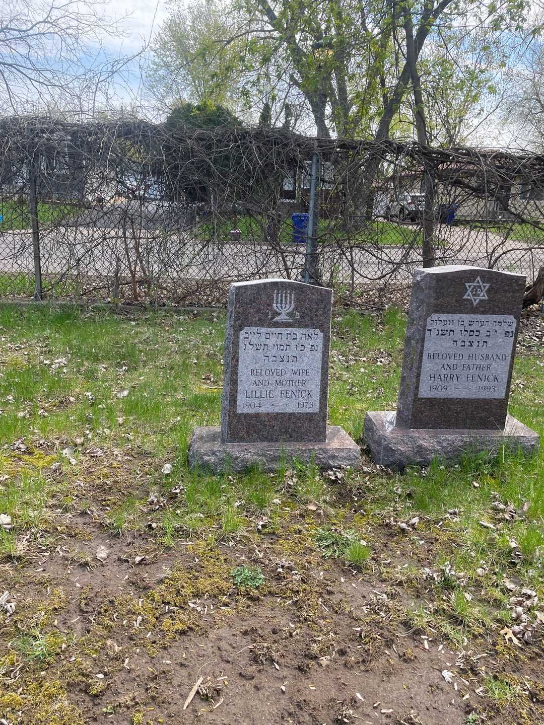 Lillie Fenick's grave. Photo 2