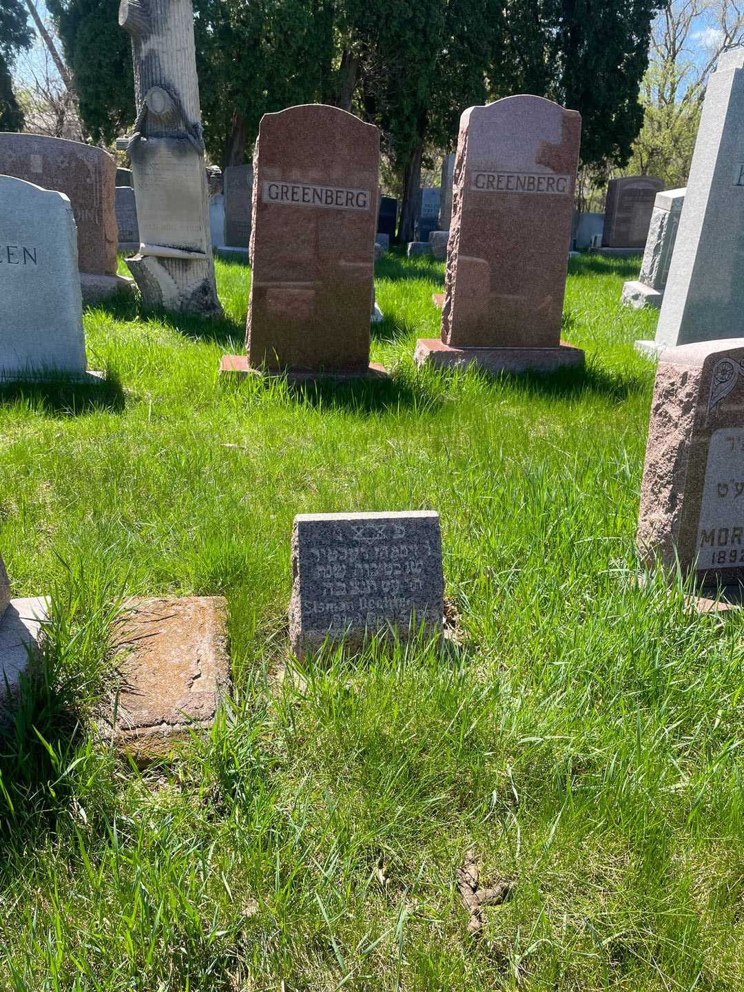 Sisman Dechter's grave. Photo 2