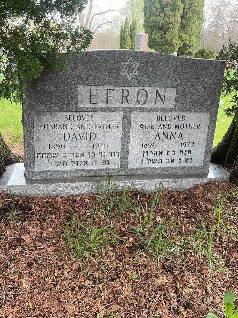 Anna Efron's grave. Photo 1