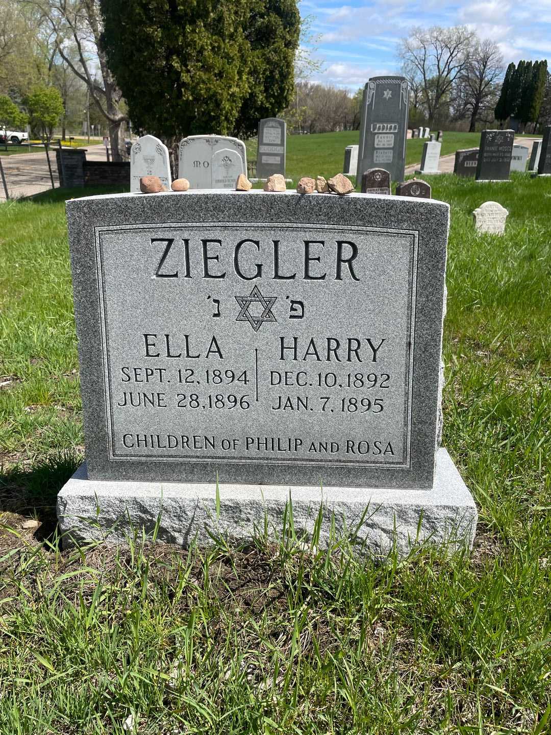 Harry Ziegler's grave. Photo 1
