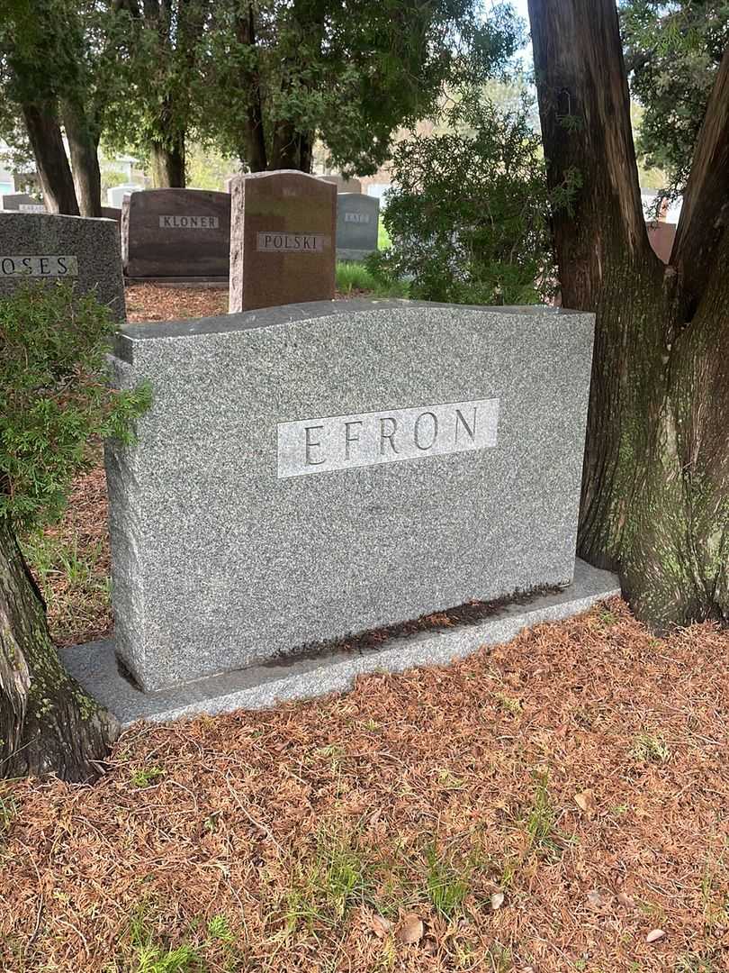 Anna Efron's grave. Photo 3