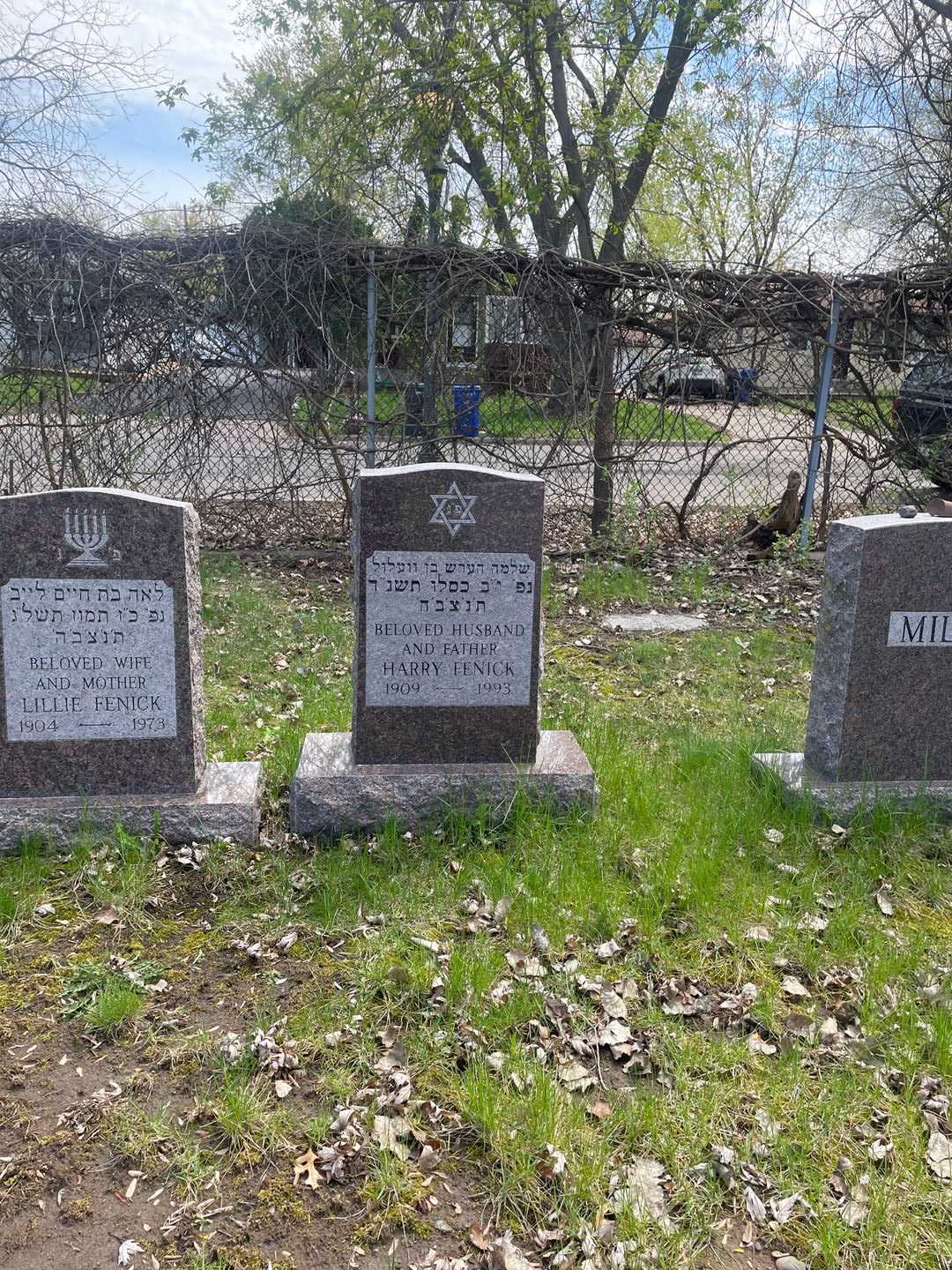 Harry Fenick's grave. Photo 2