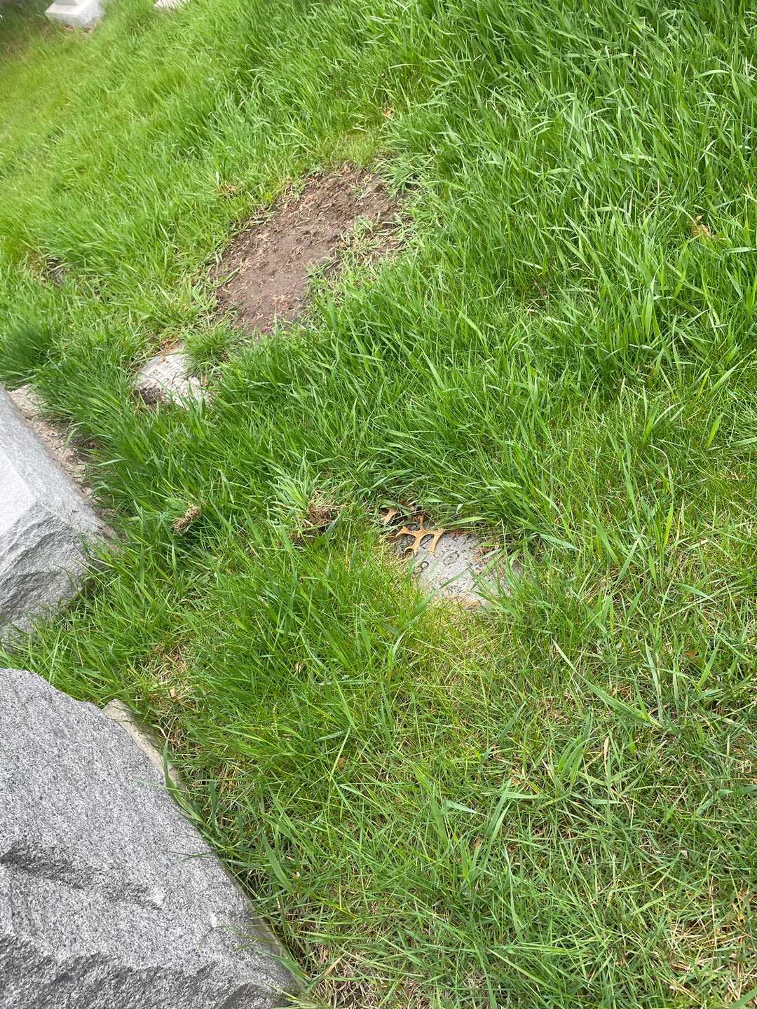 Sylvia Pavian's grave. Photo 2