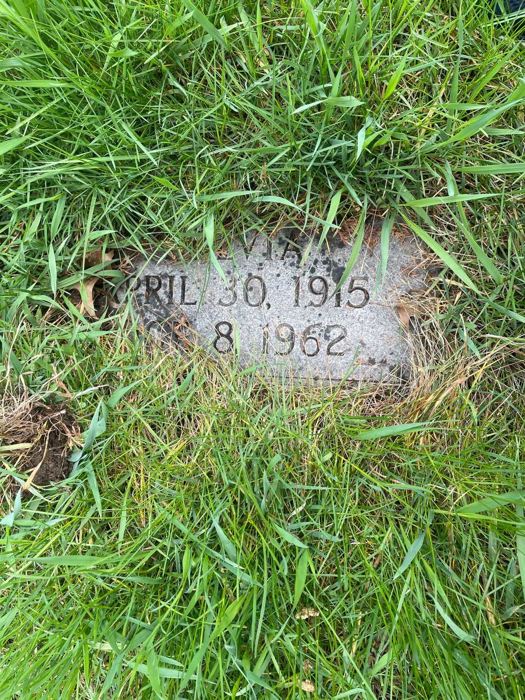 Sylvia Pavian's grave. Photo 3