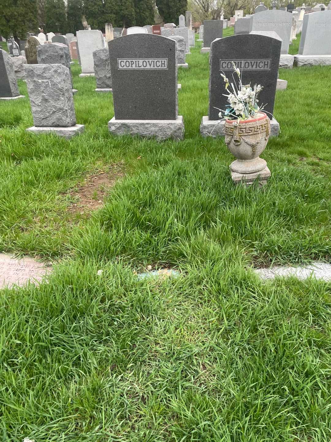 Stanley Jacobs's grave. Photo 2