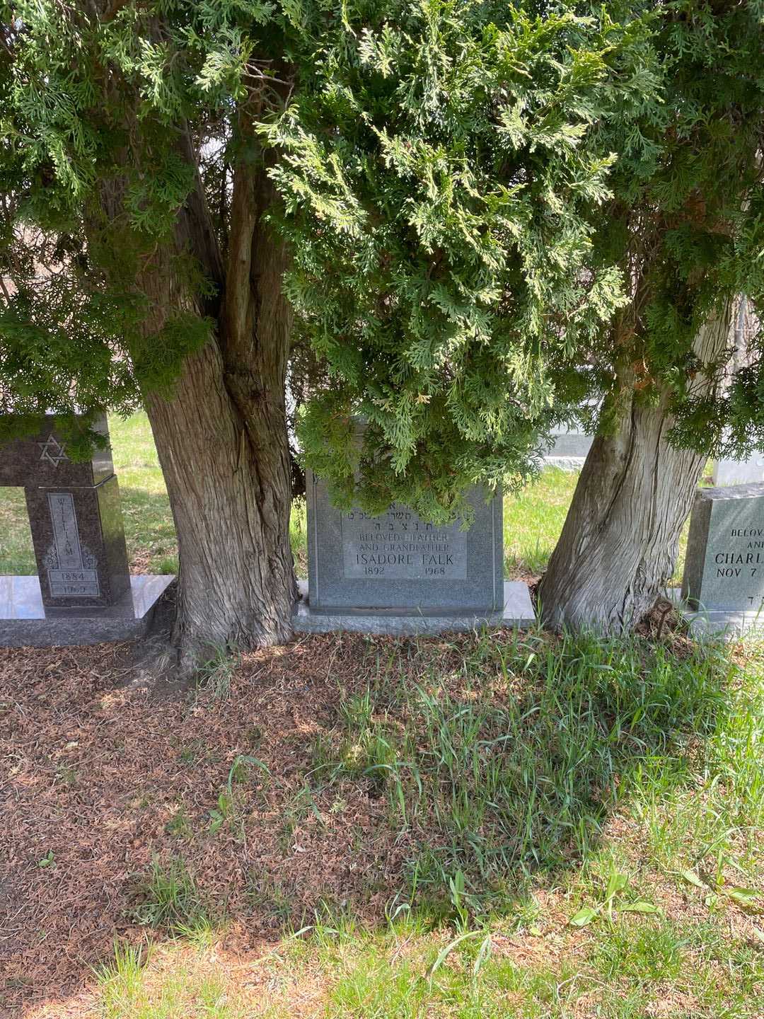 Isadore Falk's grave. Photo 2