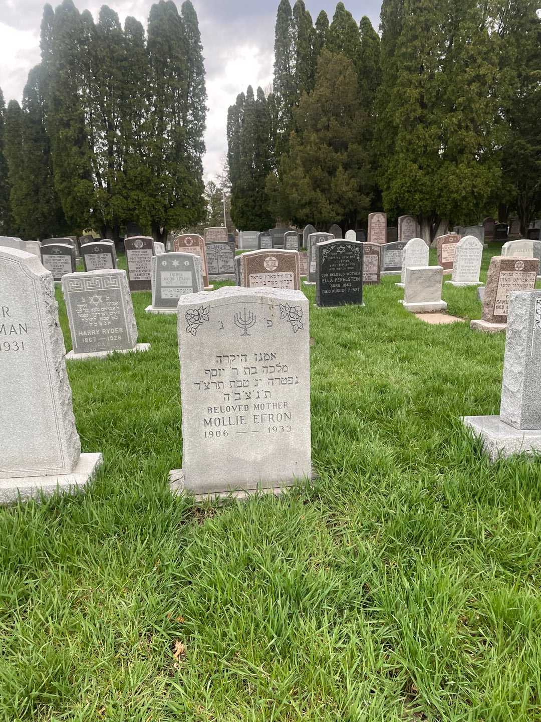 Mollie Efron's grave. Photo 2