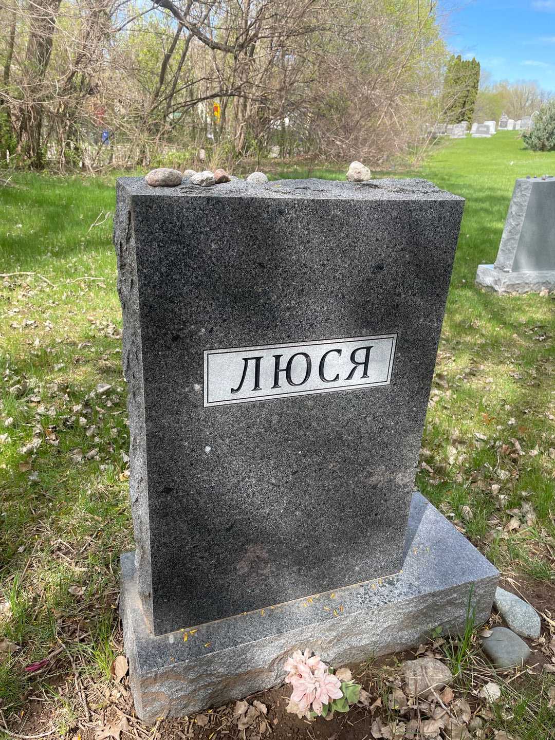 Elza "Lusya" Lazarevskaya's grave. Photo 3