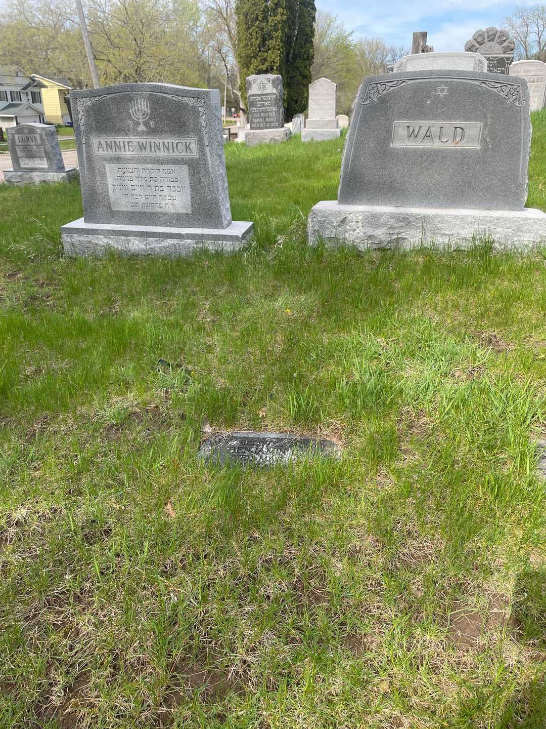 Benjamin H. Wald's grave. Photo 2