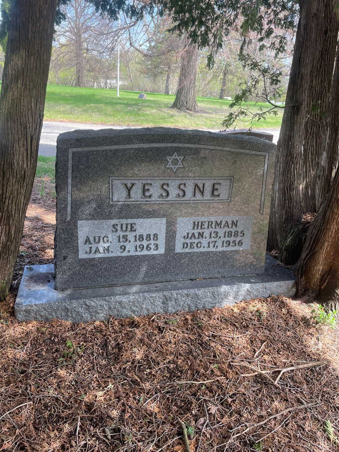 Herman Yessne's grave. Photo 3