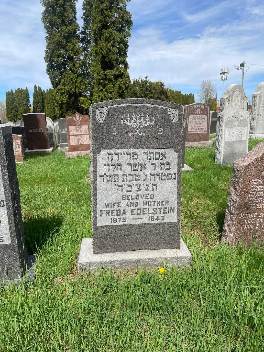 Freda Edelstein's grave. Photo 2
