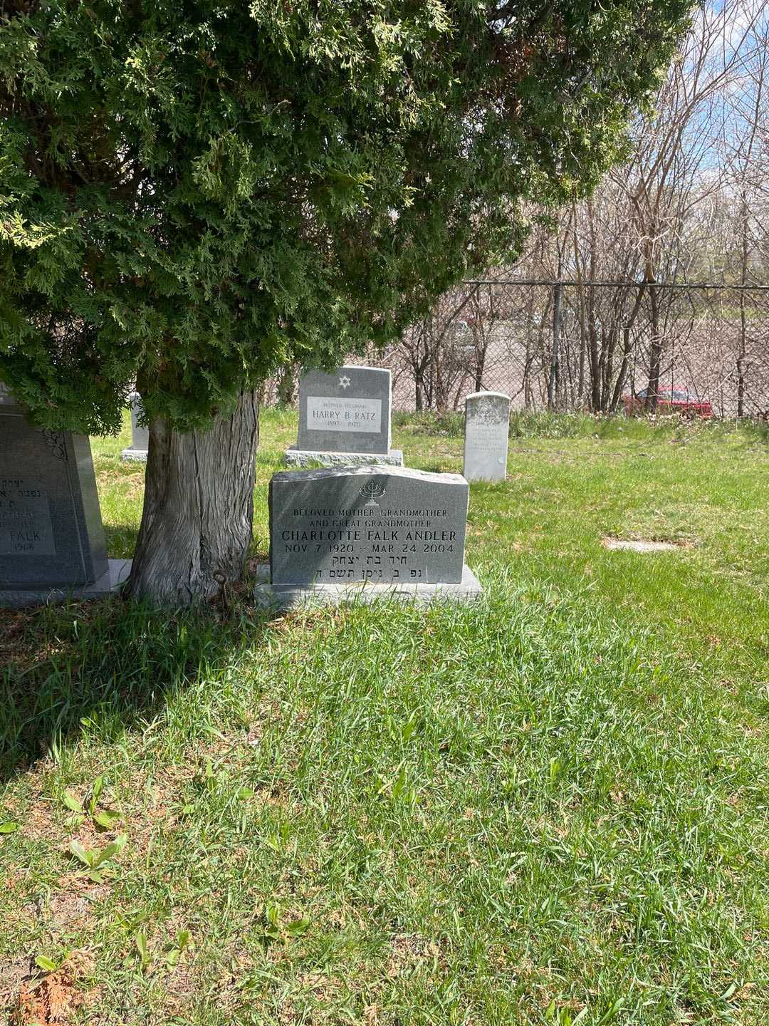 Charlotte Falk Andler's grave. Photo 2