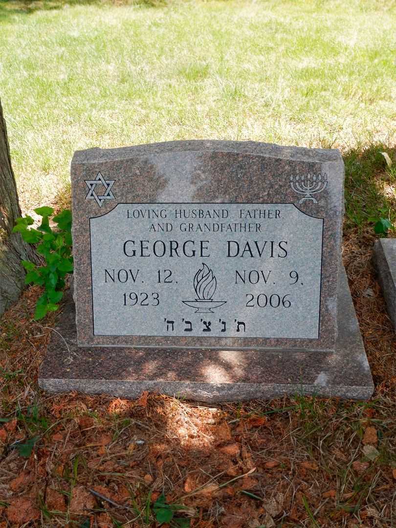 George Davis's grave. Photo 1