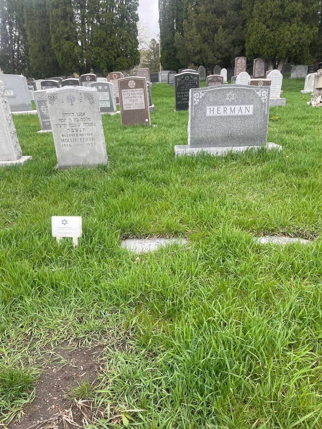 Albert Herman's grave. Photo 2