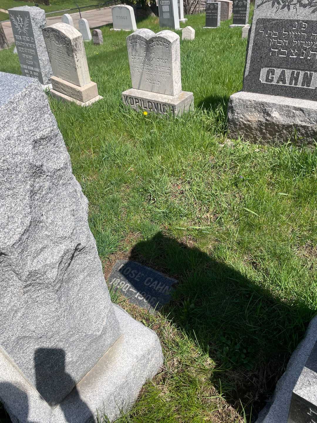 Rose Cahn's grave. Photo 2