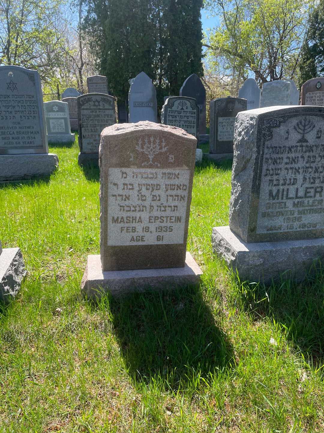 Masha Epstein's grave. Photo 2