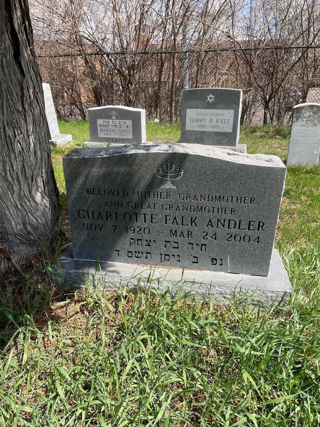 Charlotte Falk Andler's grave. Photo 1