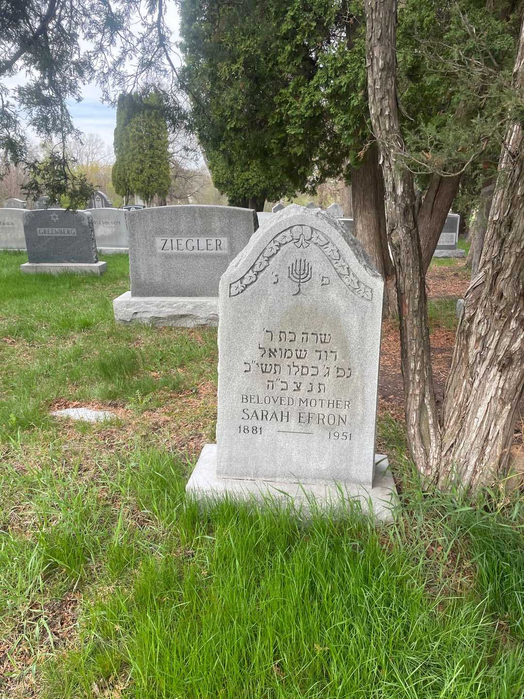 Sarah Efron's grave. Photo 2