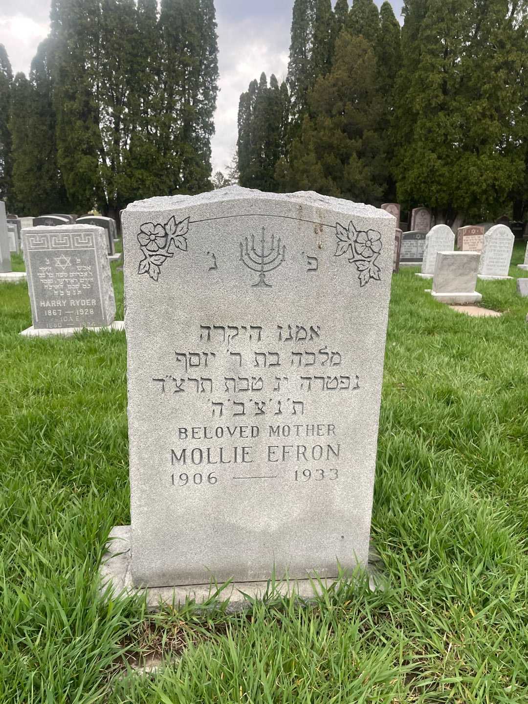 Mollie Efron's grave. Photo 1