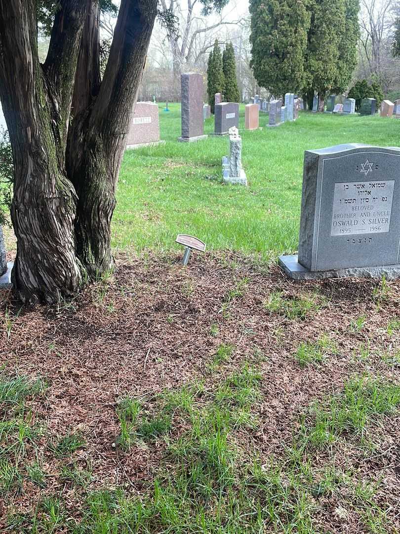 Aaron Efron's grave. Photo 2