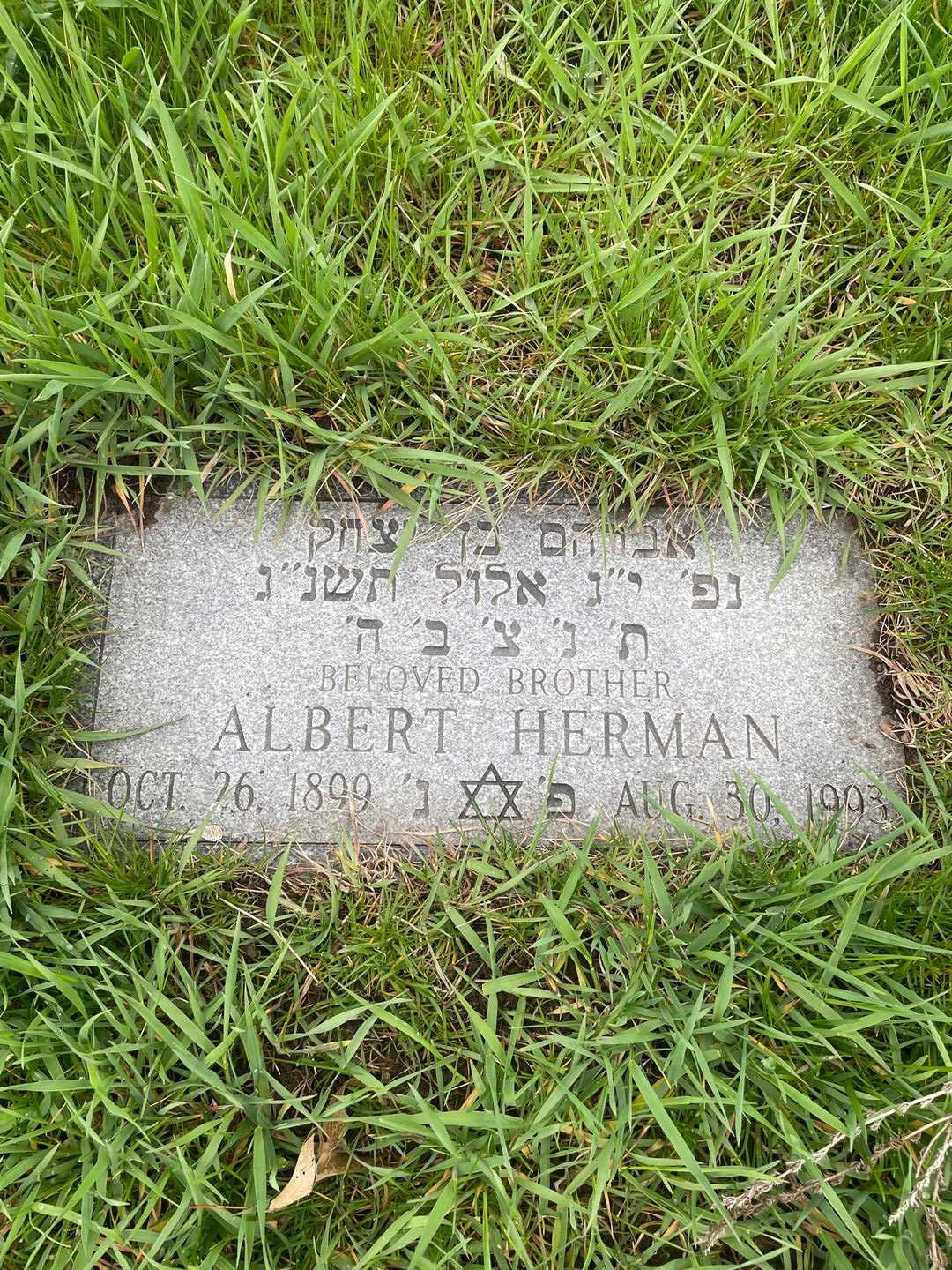 Albert Herman's grave. Photo 3