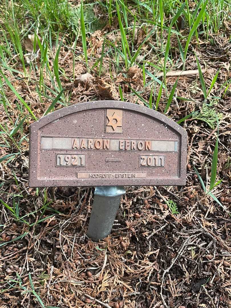 Aaron Efron's grave. Photo 1