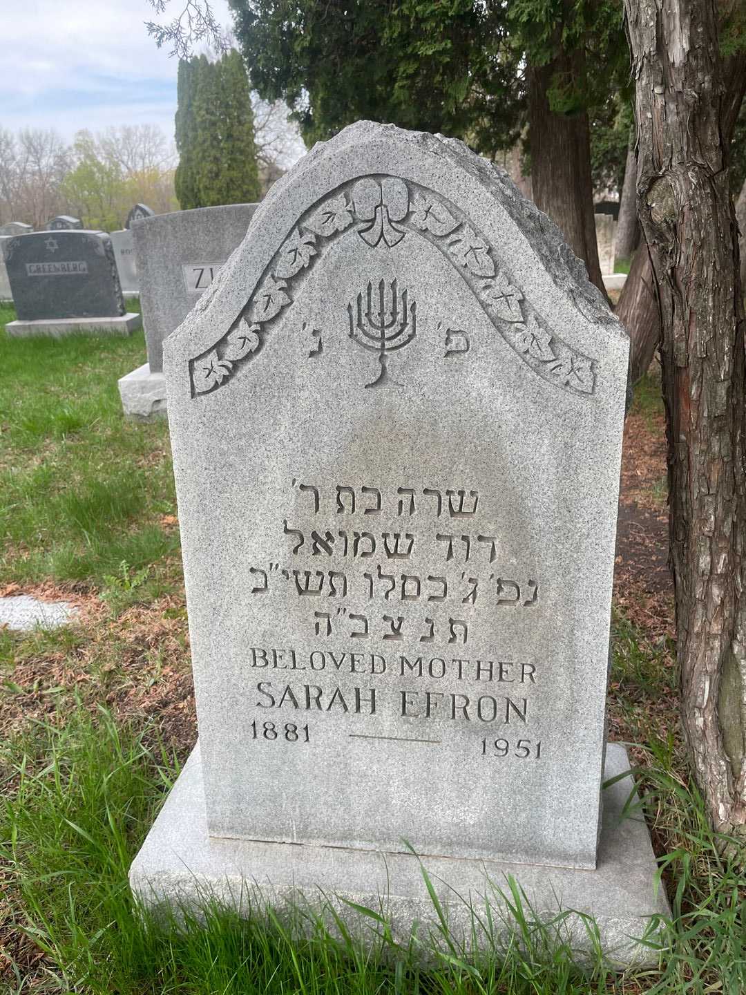 Sarah Efron's grave. Photo 1