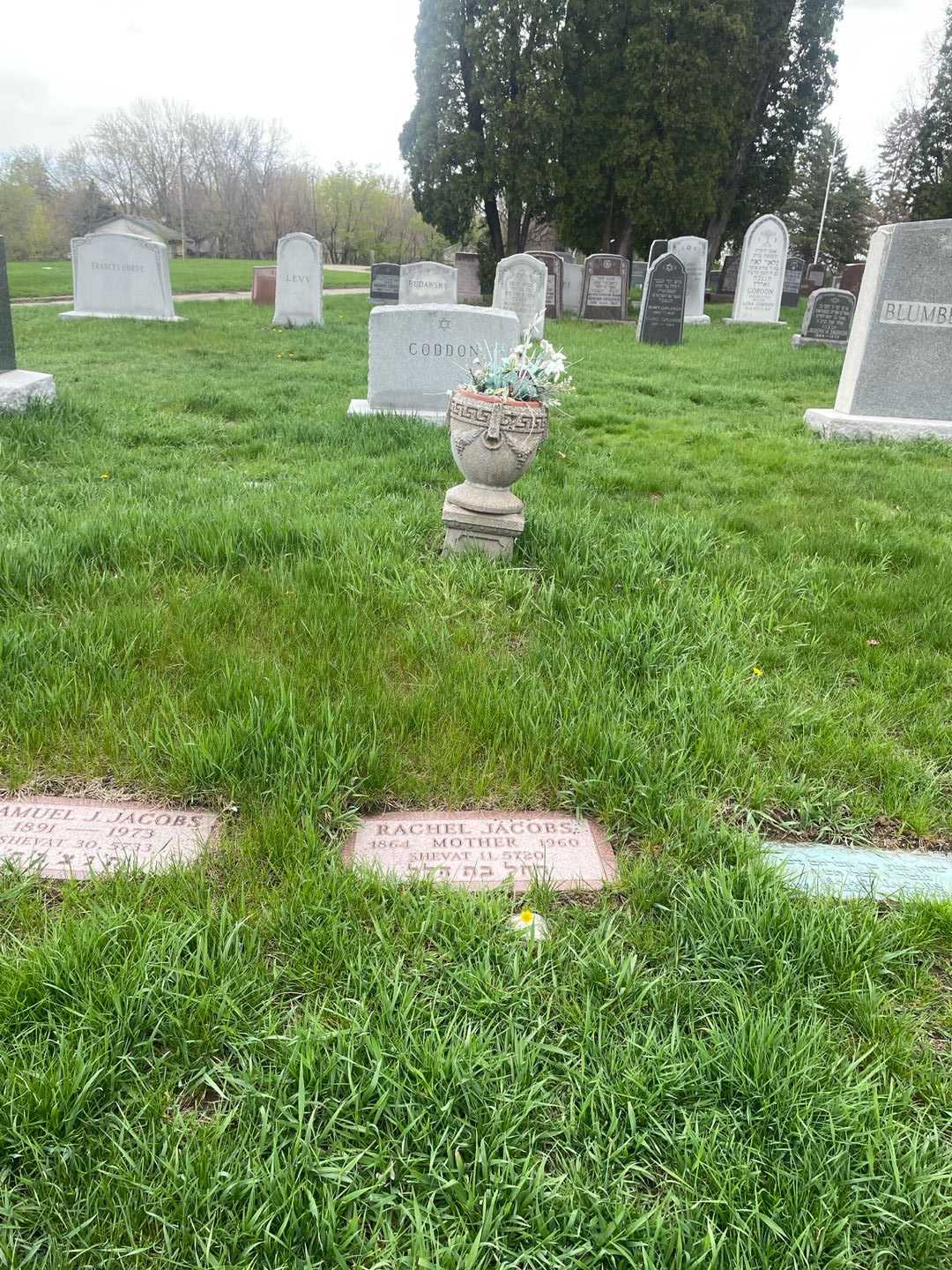 Rachel Jacobs's grave. Photo 2