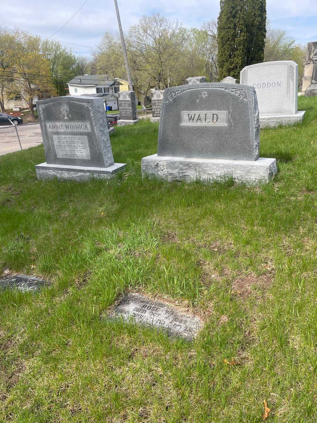 Rose Wald's grave. Photo 2