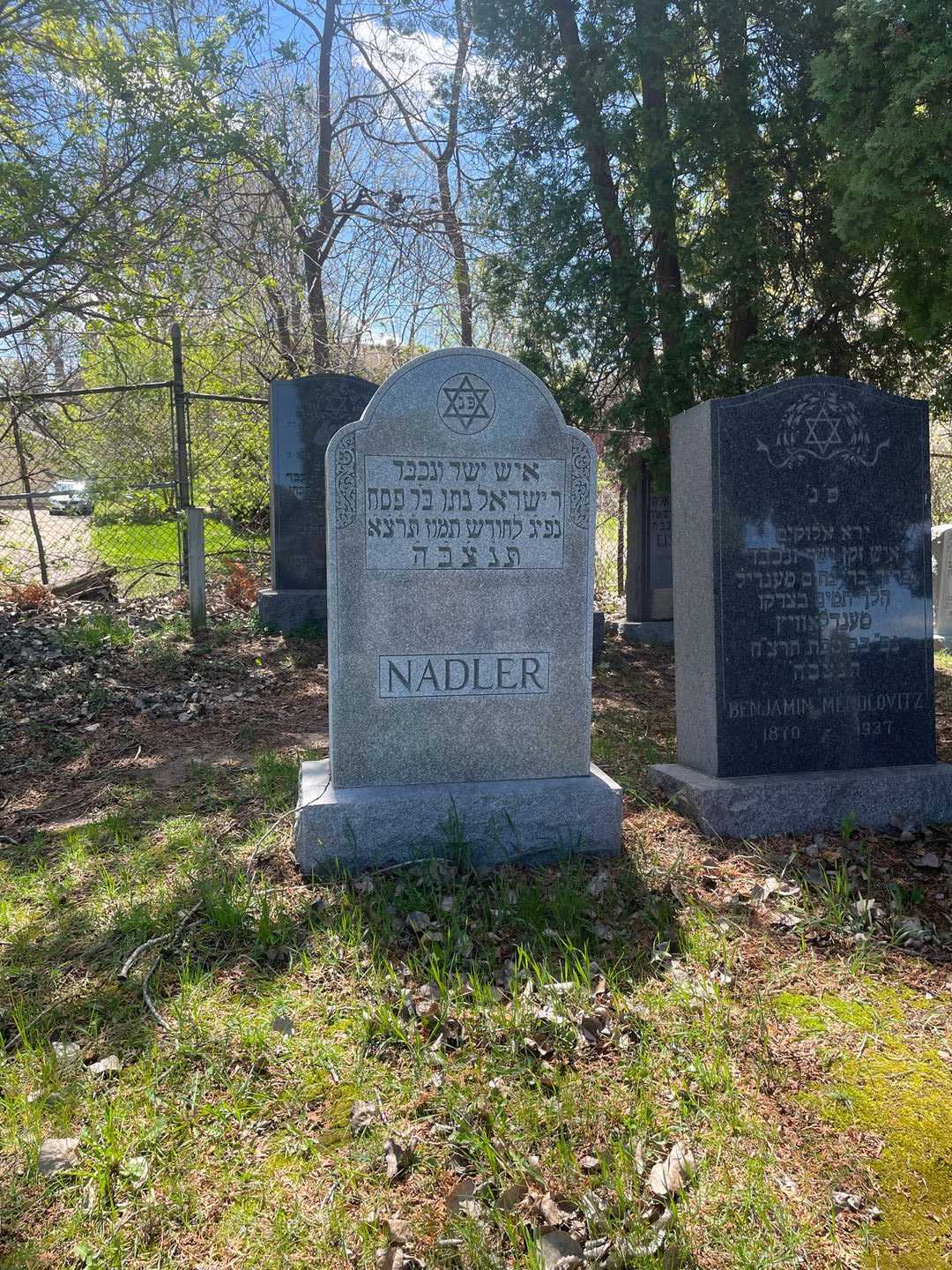 Nathan Nadler's grave. Photo 2