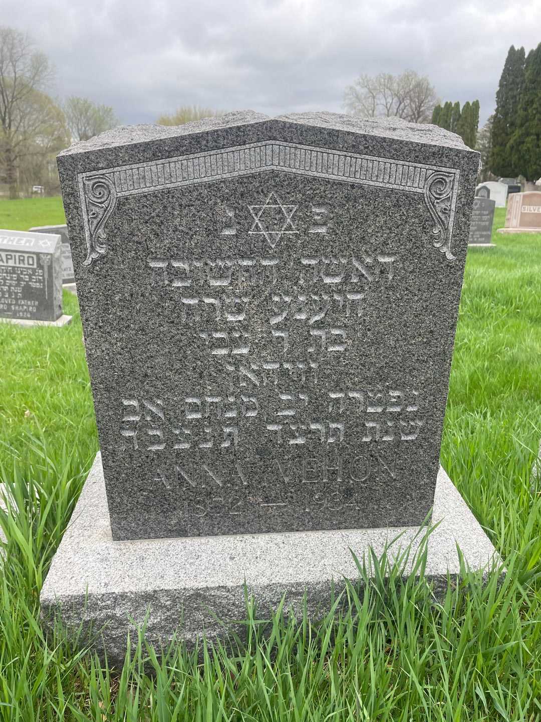 Anna Vehon's grave. Photo 1