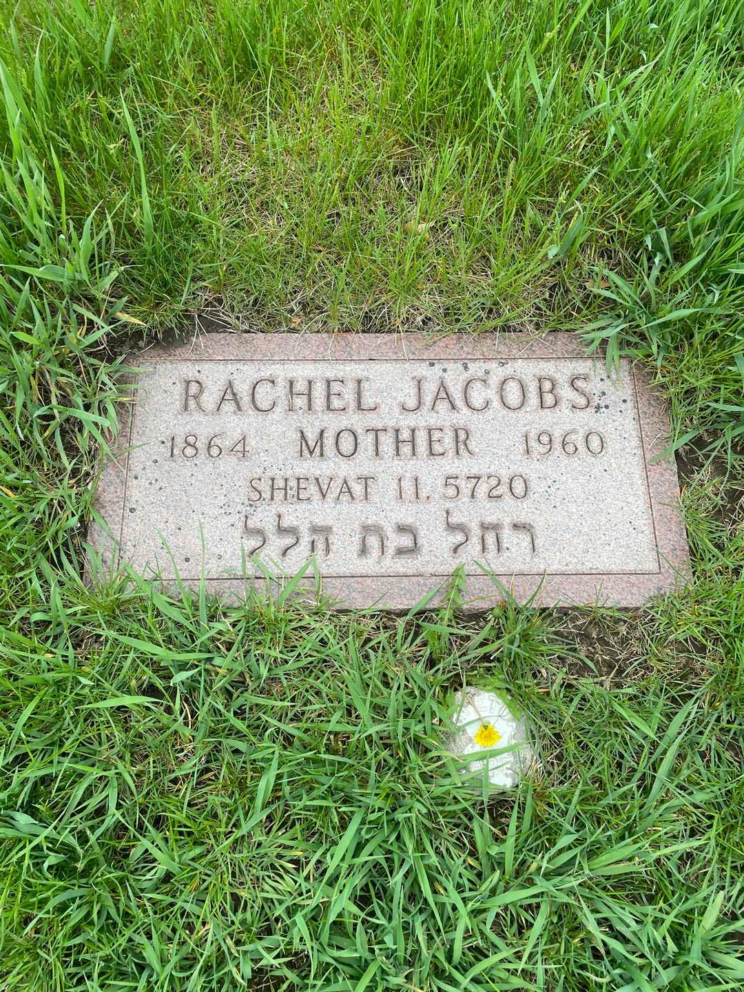 Rachel Jacobs's grave. Photo 1