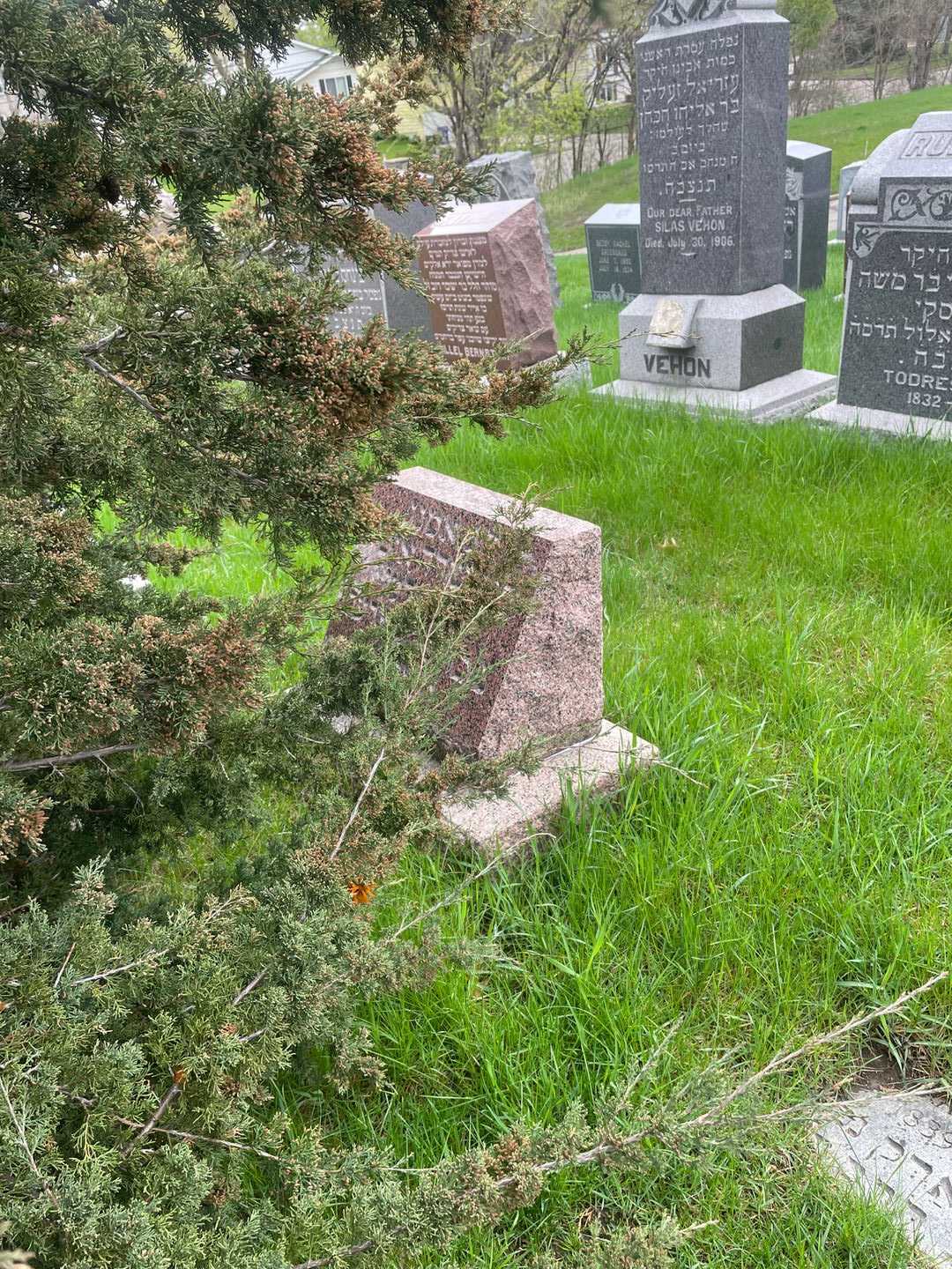 Sarah Radawski's grave. Photo 2