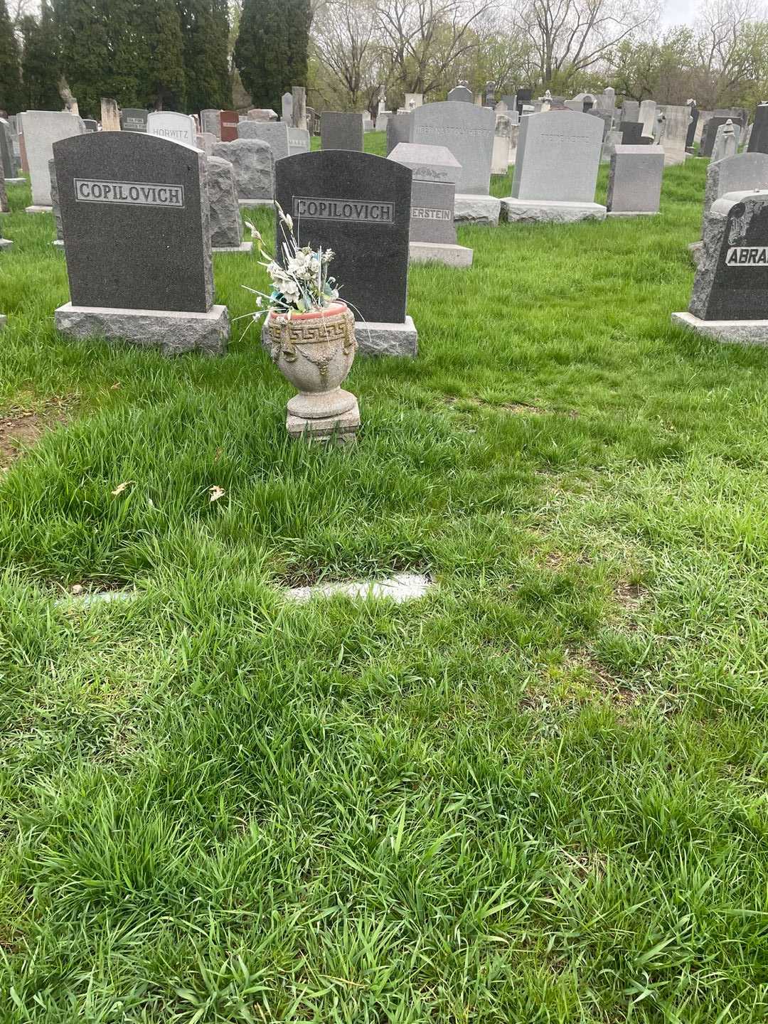 Jerome H. Jacobs's grave. Photo 2