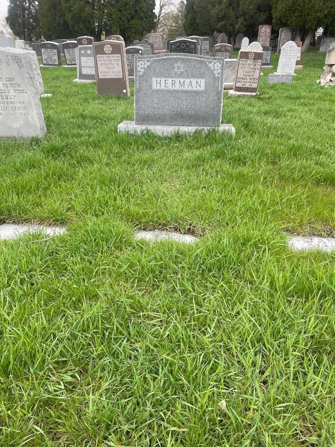 Max Herman's grave. Photo 2