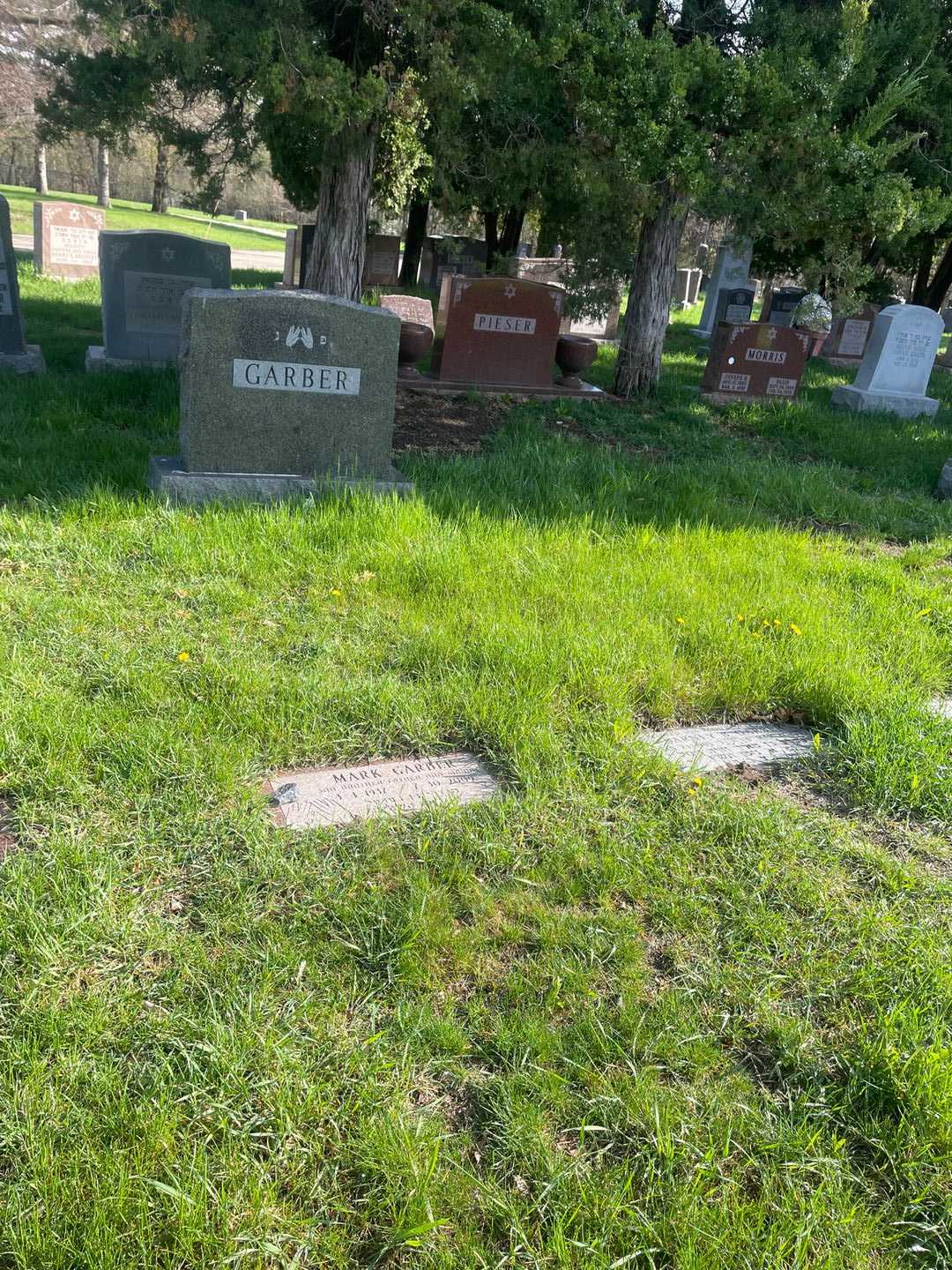 Mark Garber's grave. Photo 2