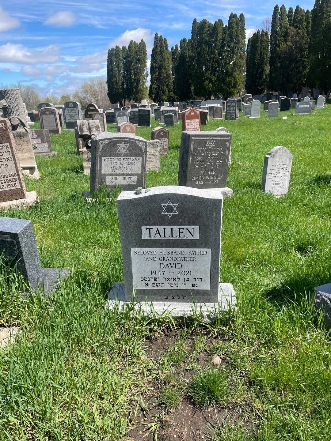 David Tallen's grave. Photo 2