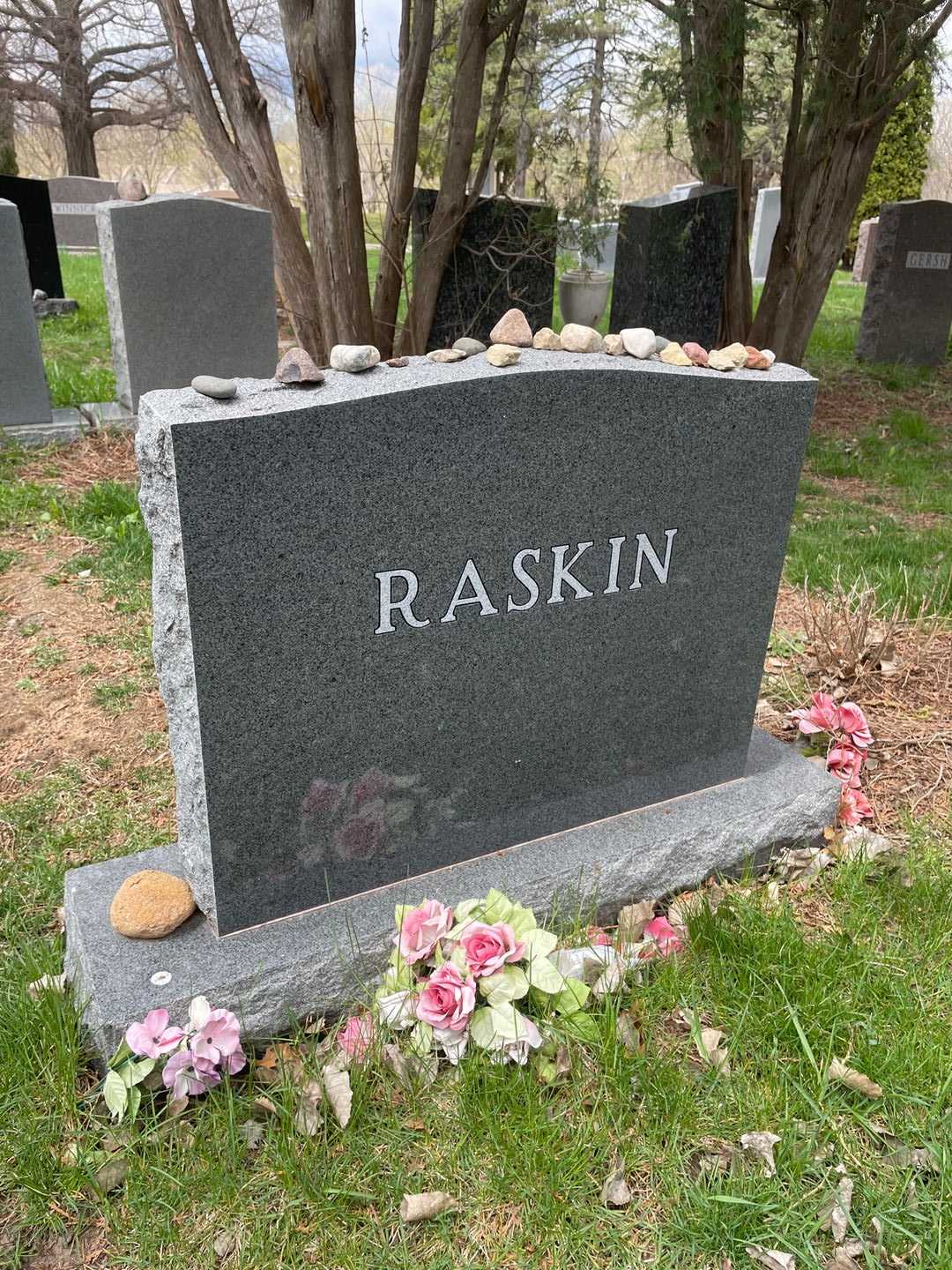 Alexander "Sasha" Raskin's grave. Photo 3