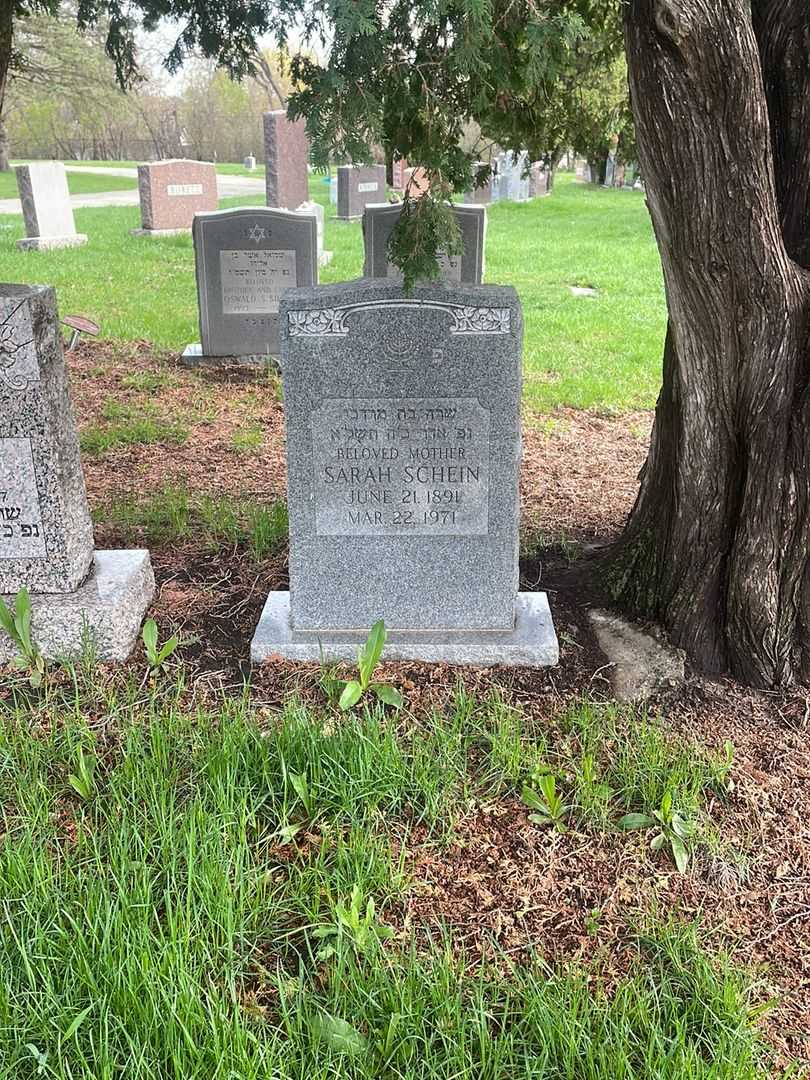 Sarah Schein's grave. Photo 2