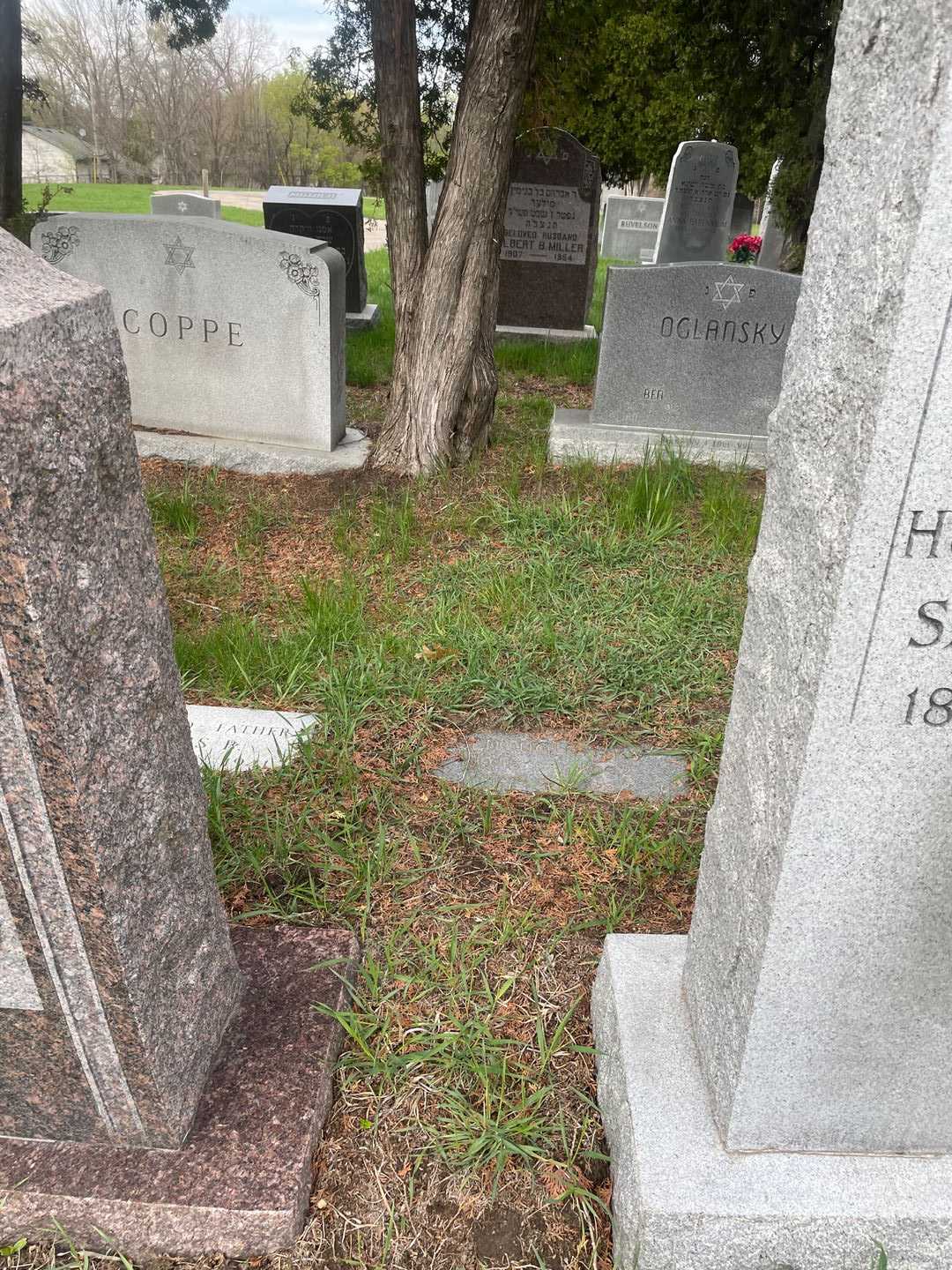 Ben Oglansky's grave. Photo 2