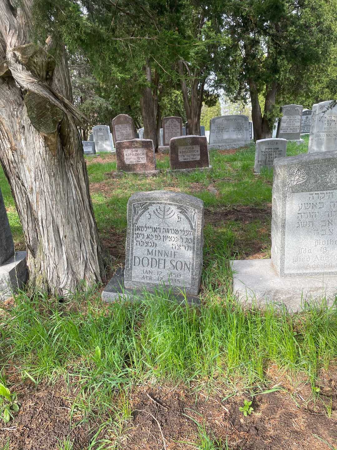 Minnie Dodelson's grave. Photo 2