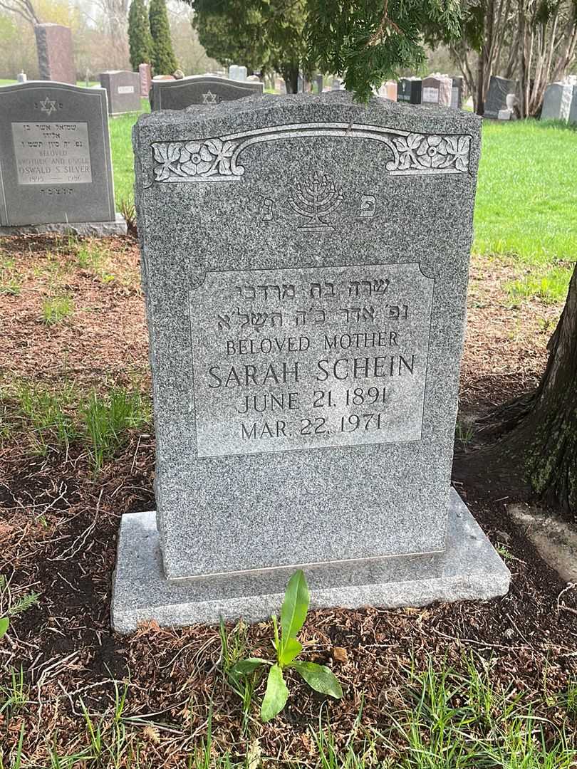 Sarah Schein's grave. Photo 1