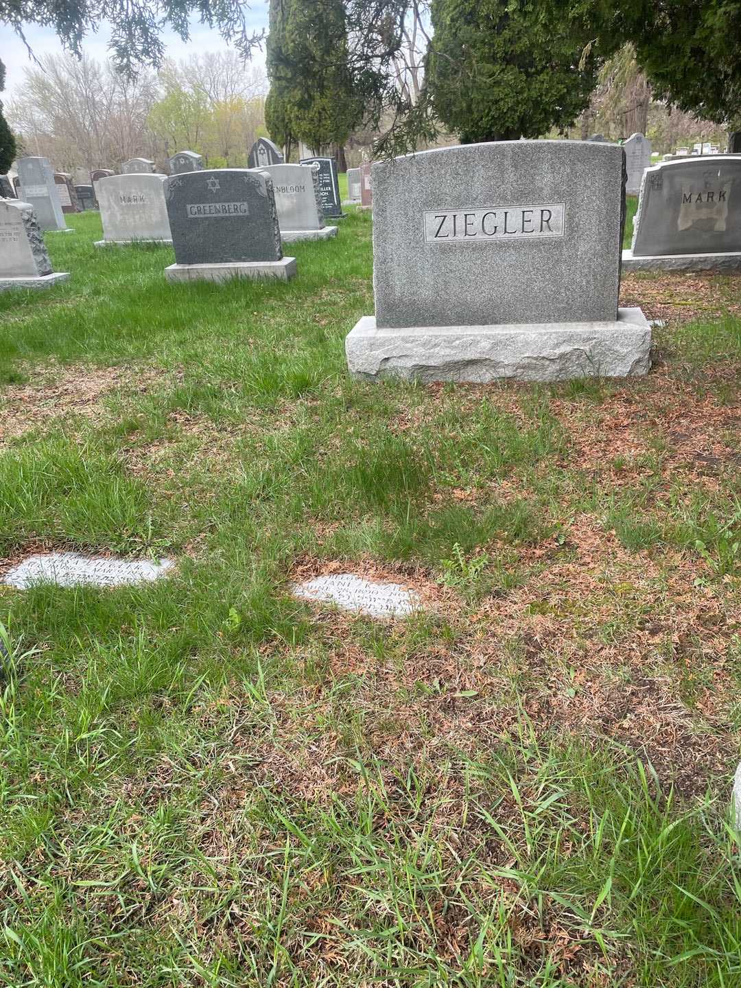 Jane K. Ziegler's grave. Photo 2