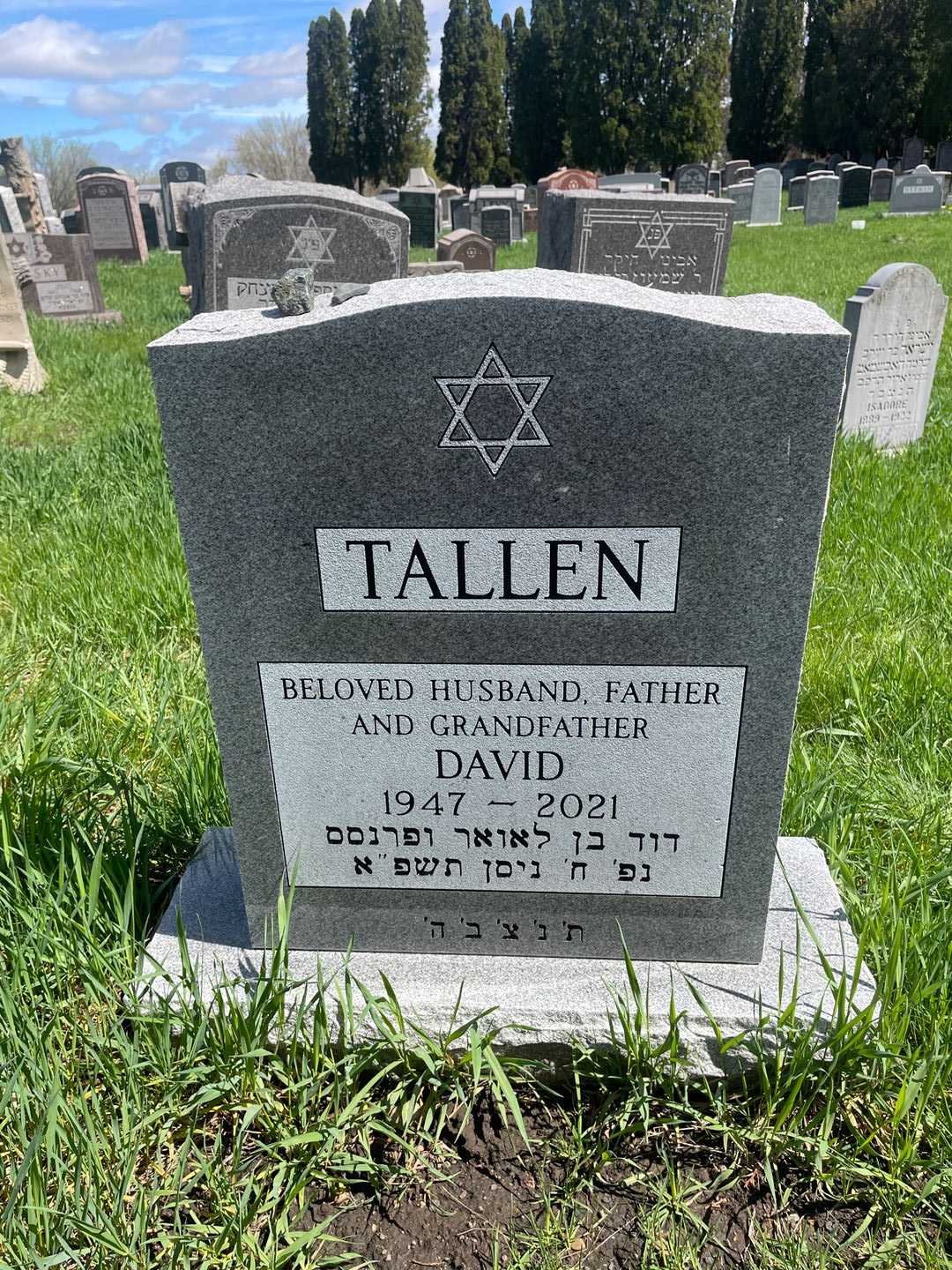 David Tallen's grave. Photo 1