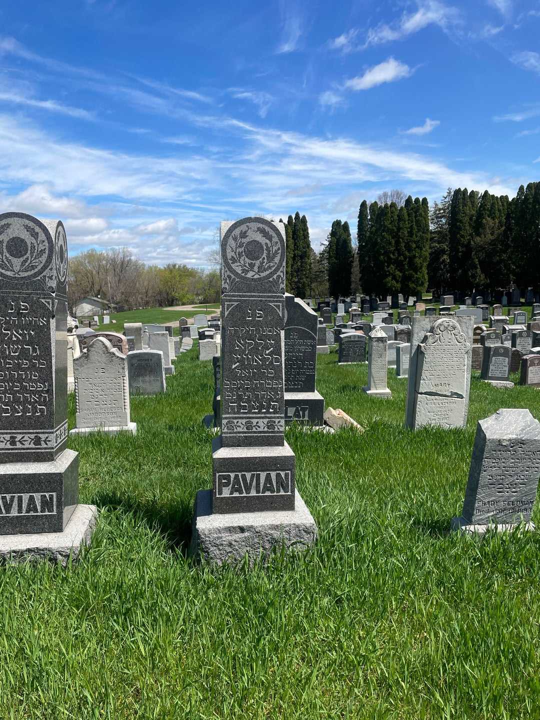 Ellen Pavian's grave. Photo 2